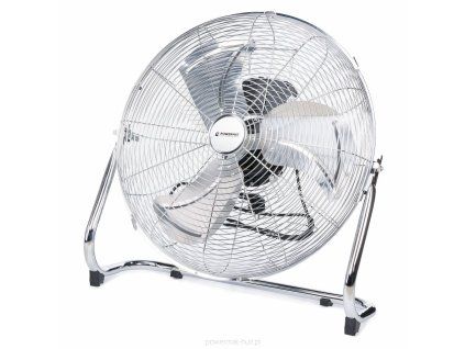 large 2