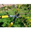 34233 5 teleskopicke zahradni nuzky na vetve 650 975 mm s rukojeti pp tpr