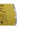 60081 1 kotouc prumer 300 x 8 x 32 mm segment geko 10