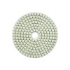61011 1 lestici kotouc pro mokre brouseni dlazdic 100 mm gr800 5 25 200