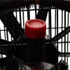 72570 12 olejovy kompresor 100 l 230 v kd1472 separator