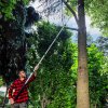 64830 10 pila s hakem 36 cm na teleskopicke nasade 5 5 m sk5 10