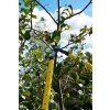 71751 12 teleskopicke zahradnicke nuzky 650 975 mm na vetve rukojet pp tpr 6