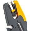 big 11