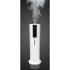 big 2 vapor steam
