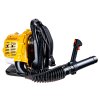 81732 29 134431 13 dmuchava spalinova geko jg strong 25 4cm vykonna pro velke zahrady s rychlosti vzduchu 70 m s