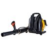81732 25 134431 9 dmuchava spalinova geko jg strong 25 4cm vykonna pro velke zahrady s rychlosti vzduchu 70 m s