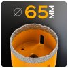 84519 10 big otwornica 6