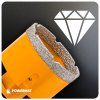 84540 9 big otwornica 5